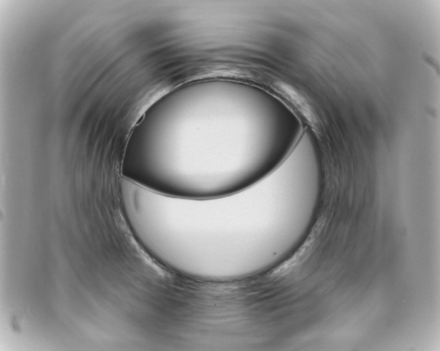 X0000096411377200801241016