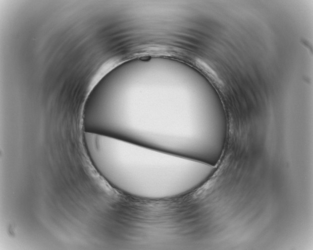 X0000096411378200801241016