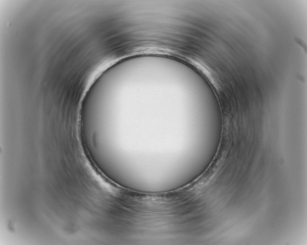 X0000096411379200801241016