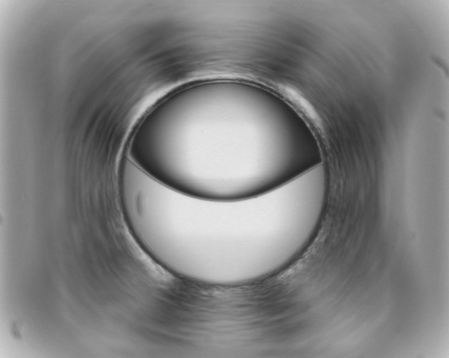 X0000096411380200801241016