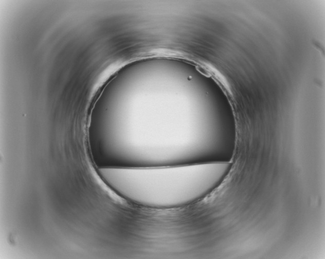X0000096411381200801241016