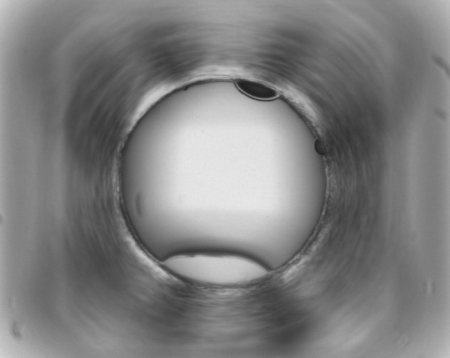 X0000096411382200801241016
