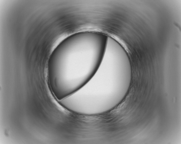 X0000096411383200801241016