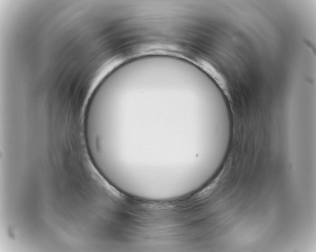 X0000096411384200801241016