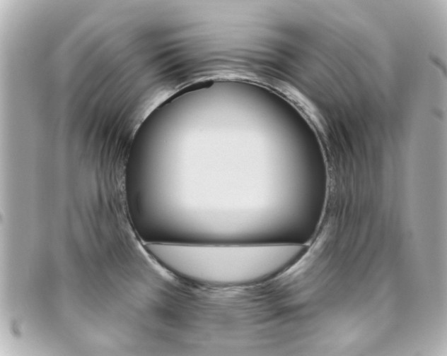 X0000096411385200801241016