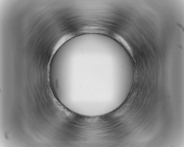 X0000096411386200801241016