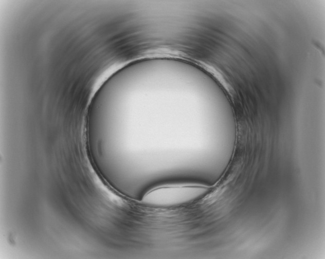 X0000096411387200801241016