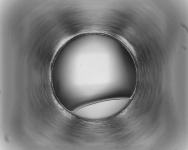 X0000096411388200801241016