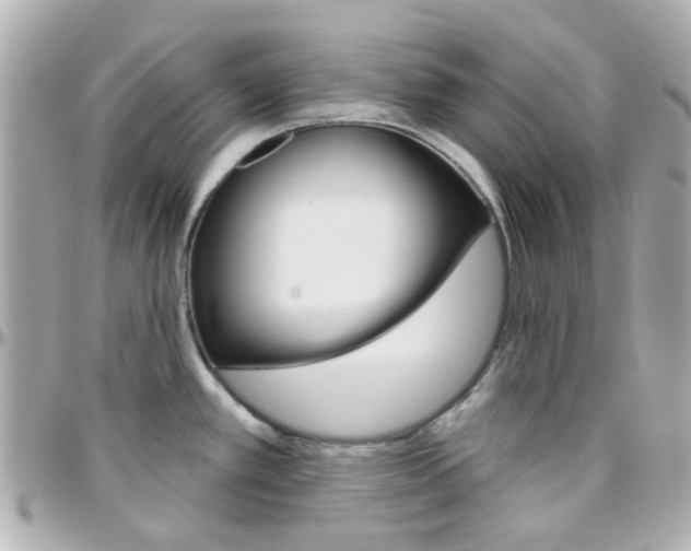 X0000096411389200801241016