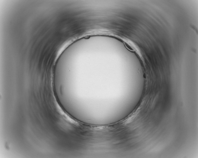 X0000096411390200801241016