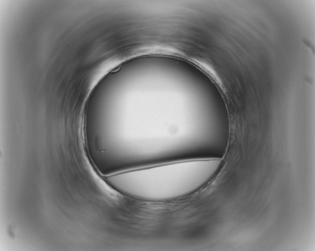 X0000096411391200801241016