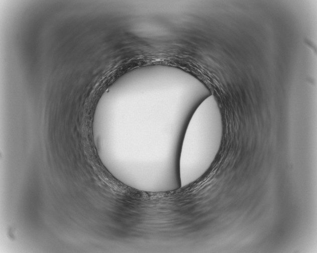 X0000096411393200801241015