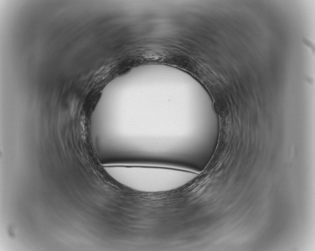 X0000096411394200801241015