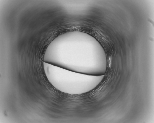 X0000096411395200801241015