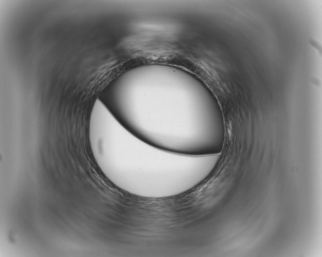 X0000096411396200801241015