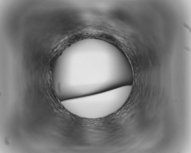 X0000096411397200801241015
