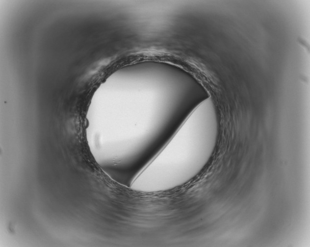 X0000096411398200801241015