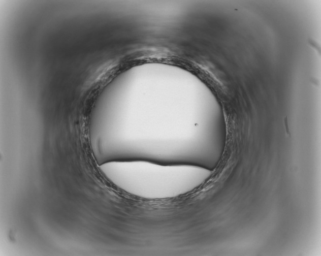 X0000096411399200801241015
