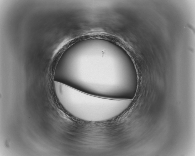X0000096411400200801241015