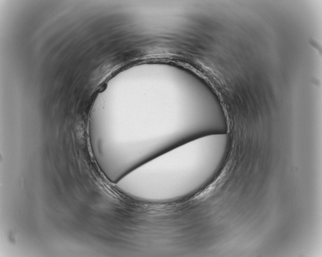 X0000096411401200801241015