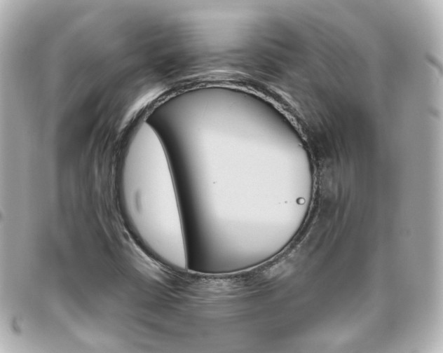 X0000096411402200801241015