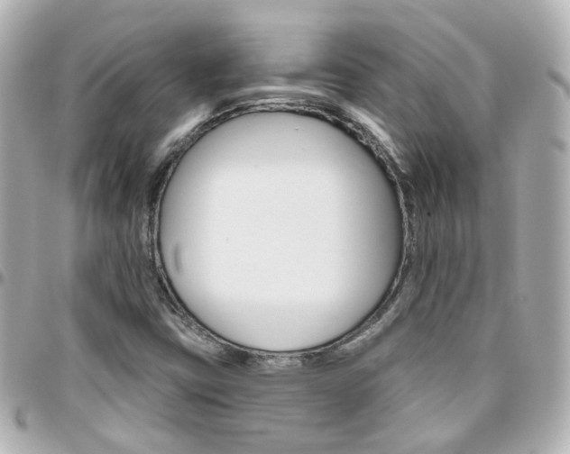 X0000096411403200801241015