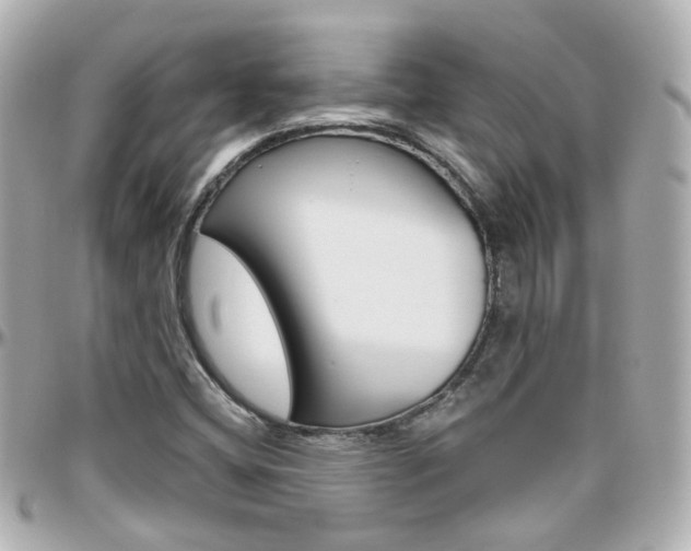 X0000096411404200801241015