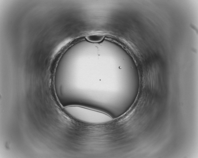X0000096411406200801241015