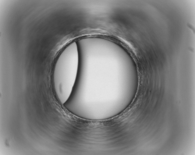 X0000096411407200801241015