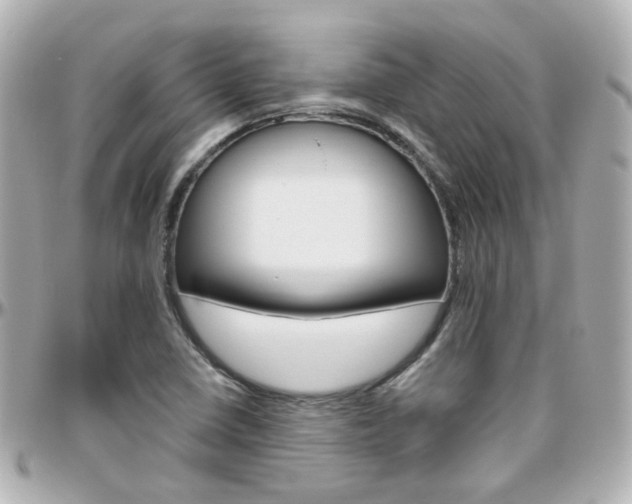 X0000096411410200801241015