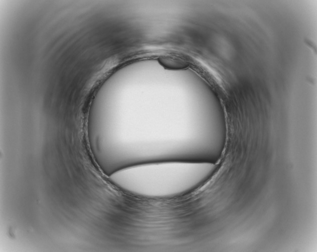 X0000096411411200801241015