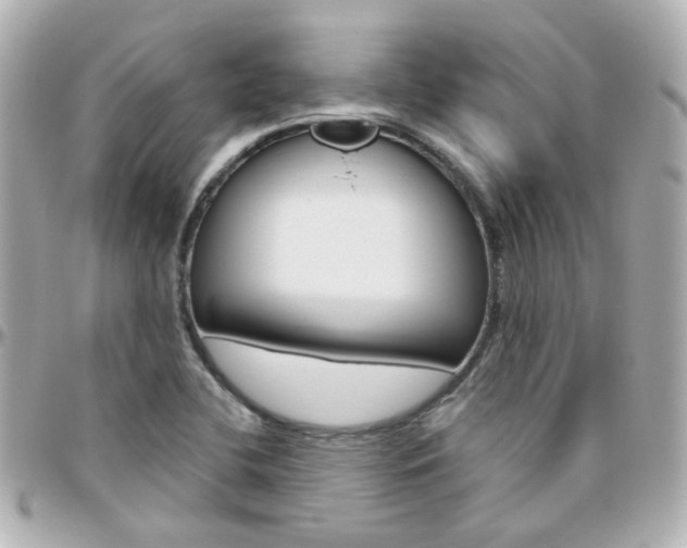 X0000096411412200801241015