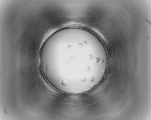 X0000096411413200801241015