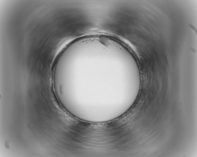 X0000096411415200801241015