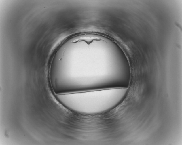 X0000096411416200801241015