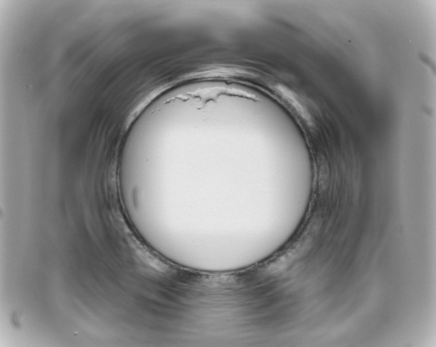 X0000096411417200801241015