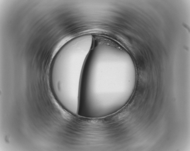 X0000096411418200801241015