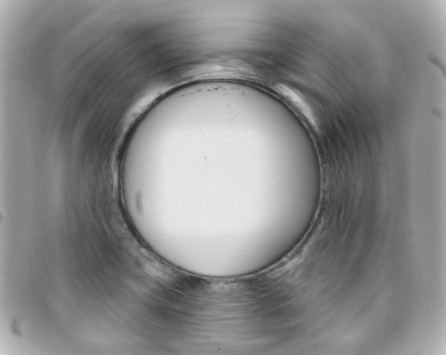 X0000096411419200801241015