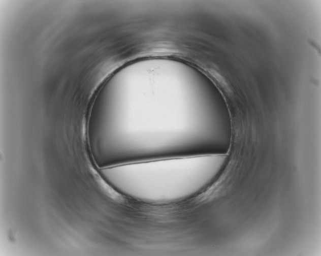 X0000096411420200801241015