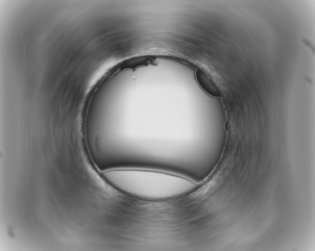 X0000096411422200801241015