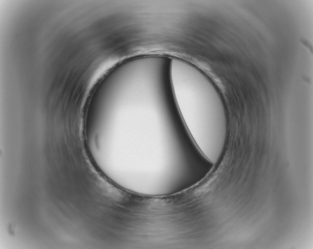 X0000096411424200801241015