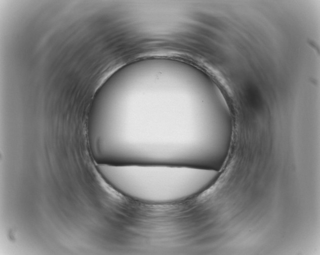 X0000096411425200801241015