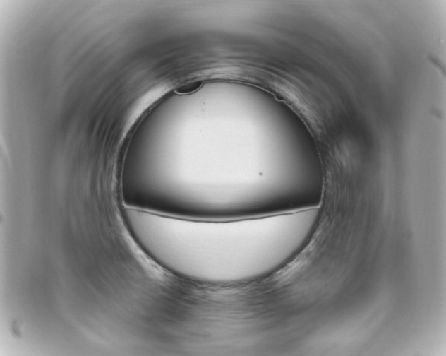 X0000096411426200801241015