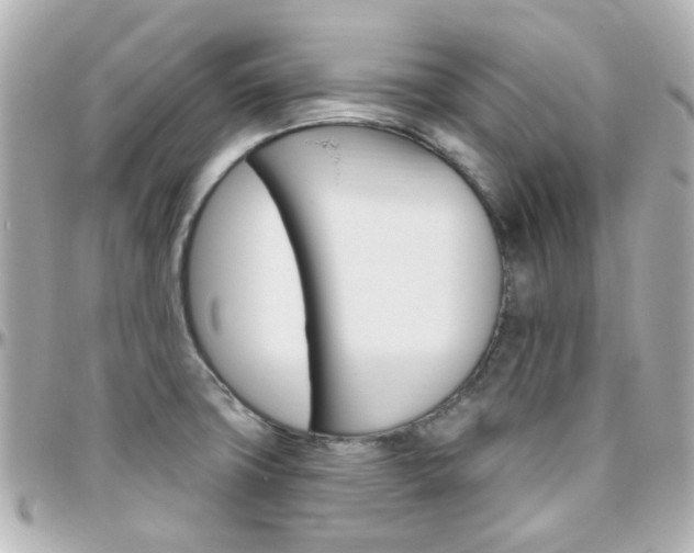 X0000096411427200801241015