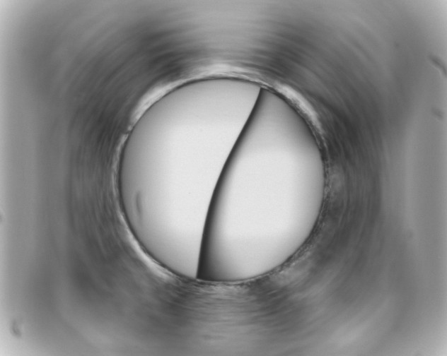 X0000096411429200801241015
