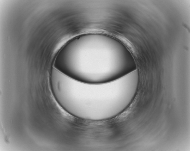 X0000096411430200801241015