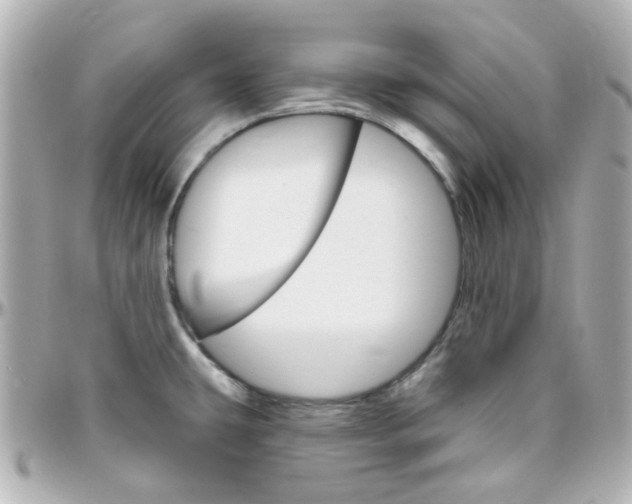 X0000096411431200801241015