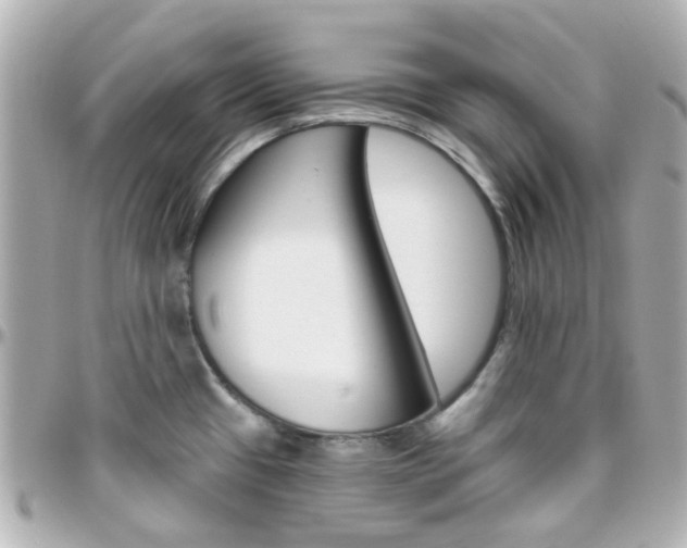 X0000096411433200801241015