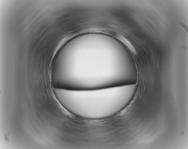 X0000096411436200801241015