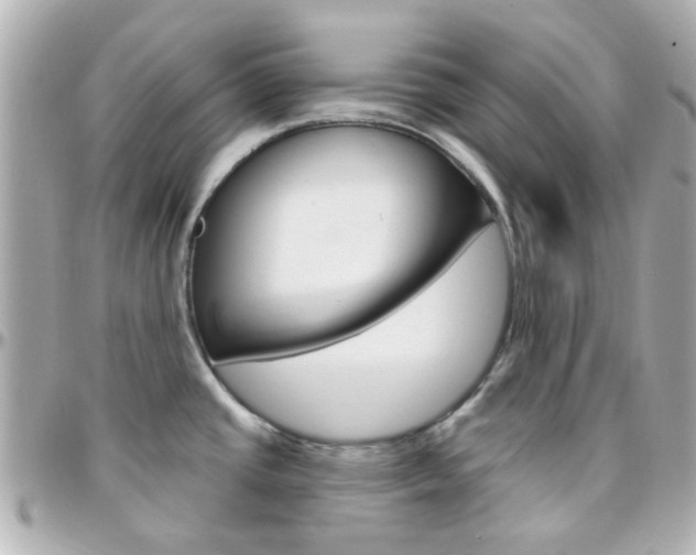 X0000096411437200801241015